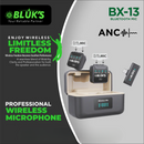 BLUK'S BX-13 Professional Wireless Microphone (Dual Mic)